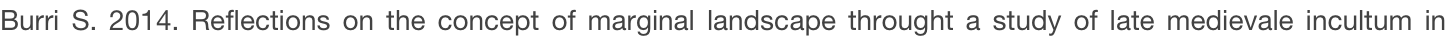 shapeimage_1_link_14
